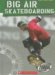 Big Air Skateboarding cover