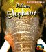 Asian Elephant cover