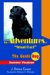 The Adventures of 
