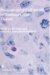 Programmed Cell Death in Tumours and Tissues