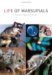 Life of Marsupials cover