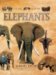Elephants cover
