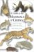 A Guide to the Mammals of China cover