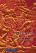 Rituals of War : The Body and Violence in Mesopotamia cover