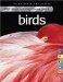 1000 Things You Should Know About Birds cover
