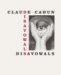 Disavowals : Or Cancelled Confessions cover
