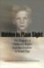 Hidden in Plain Sight : The Tragedy of Children's Rights from Ben Franklin to Lionel Tate cover