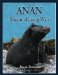 Anan, Stream of Living Water cover