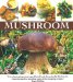 Mushroom cover