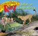 Safari In South Africa cover