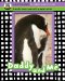 Daddy and Me cover