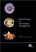 Biotechnology and Plant Disease Management cover