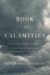 The Book of Calamities : Five Questions About the Meaning of Suffering cover