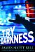 Try Darkness cover