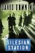 Silesian Station cover