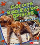 Goliath Bird-Eating Spiders [Click for larger image]