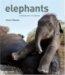 Elephants : A Book for Children cover