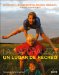 La naturaleza, un lugar de recreo/ Nature's Playground : Actividades, Descubrimientos, Trabajos Manuales, Juegos Y Aventuras cover