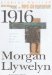 1916 : A Novel of the Irish Rebellion cover