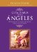 Guia Diaria de Sus Angeles/ Daily Guidance From Your Angels : 365 mensajes de los angeles para aliviar, sanar y abrir su corazon/ 365 Angelic Messages to Soothe, Heal, and Open Your Heart cover