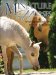 Miniature Horses : A Veterinary Guide for Owners & Breeders cover