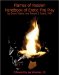 Flames of Passion : Handbook of Erotic Fire Play cover