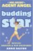 Budding Star : Mission, Rescue a Pop Princess! cover