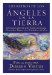 Reinos de los Angeles en la Tierra/ Realms of the Earth Angels : Mas Informacion Acerca De Angeles Encarnados, Elementales, Magos Y Otros Trabajadores De La Luz/ More Information for Incarnated Angels, Elementals, W cover