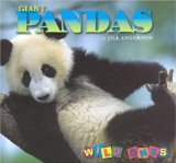 Giant Pandas [Click for larger image]
