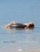 Elmgreen & Dragset cover
