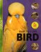Owning a Pet Bird cover