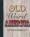 The Old, Weird America : Folk Themes in Contemporary Art cover