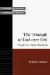 The Triumph of God over Evil : Theodicy for a World of Suffering cover