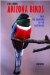 Jim Burns' Arizona Birds : From the Backyard to the Backwoods cover