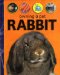 Owning a Pet Rabbit cover