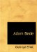 Adam Bede cover