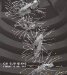 Cai Guo-Qiang : I Want to Believe cover