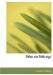 Rides on Railways cover
