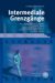 Intermediale Grenzgange : Das Gesprach Der Drei Gehenden Von Peter Weiss, Gehen Von Thomas Bernhard Und Die Lehre Der Sainte-Victoire Von Peter Handke cover