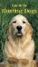 Guide to Hunting Dogs cover
