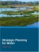Strategic Planning for Water cover