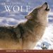 Call Of The Wolf cover