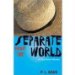 Separate from the World : An Ohio Amish Mystery cover