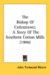 The Bishop of Cottontown : A Story of the Southern Cotton Mills cover