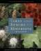 Trees and Shrubs of Minnesota cover
