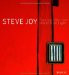Steve Joy Paintings, 1980-2007 : Uncreated Light cover