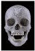 For the Love of God : The Making of the Diamond Skull Drawings 1981-2006 cover