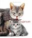 A Cat's Life cover