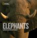 Face to Face With Elephants cover