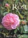 The Rose cover